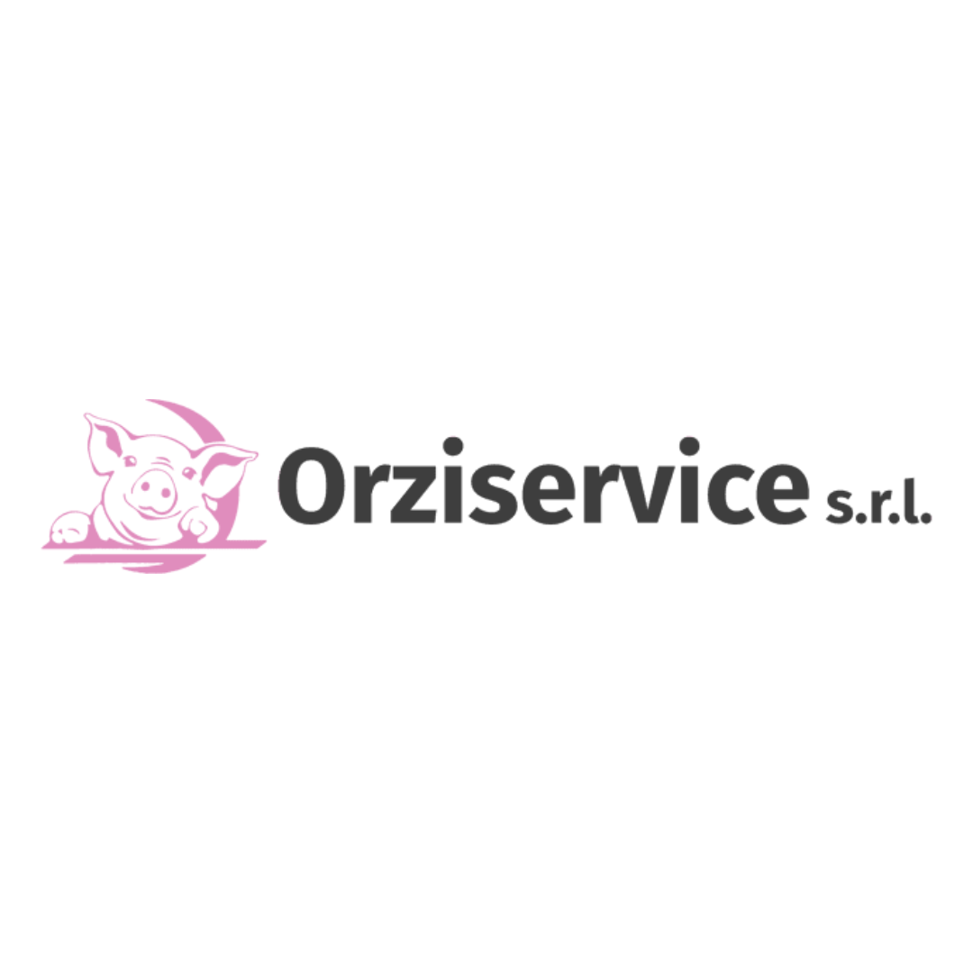orziservice srl logo